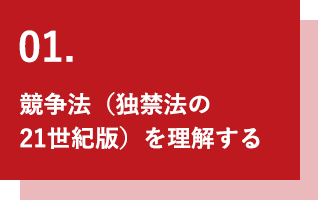 競争法を理解する
